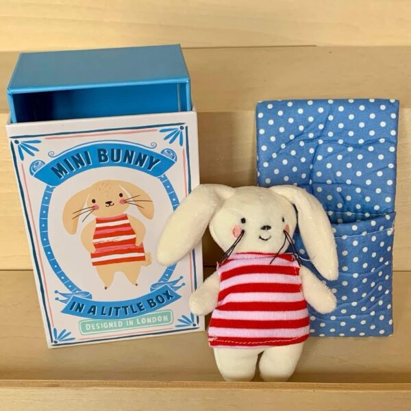 Hase in Schachtel von Rex London