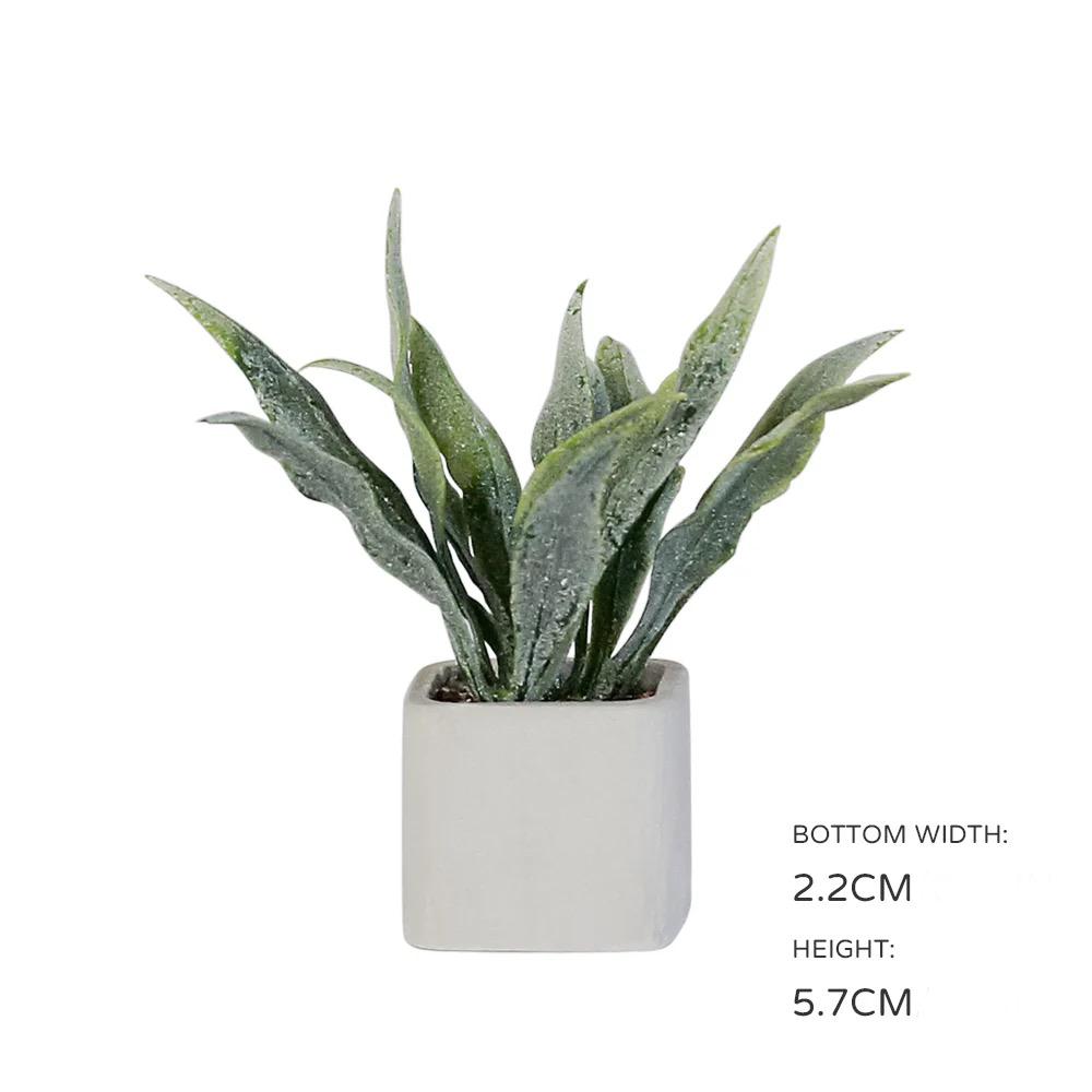 Sanseveria im Topf - Maßstab 1:12