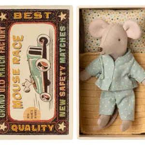 Kleiner Bruder in box, H/W25